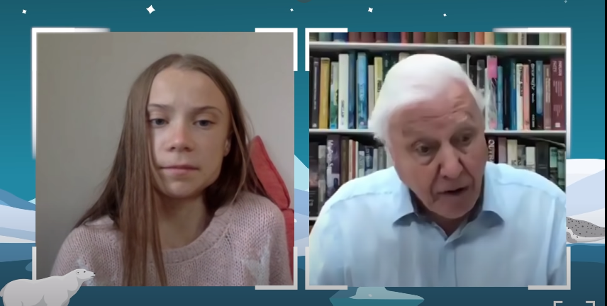 Saving a Planet: An activist’s view