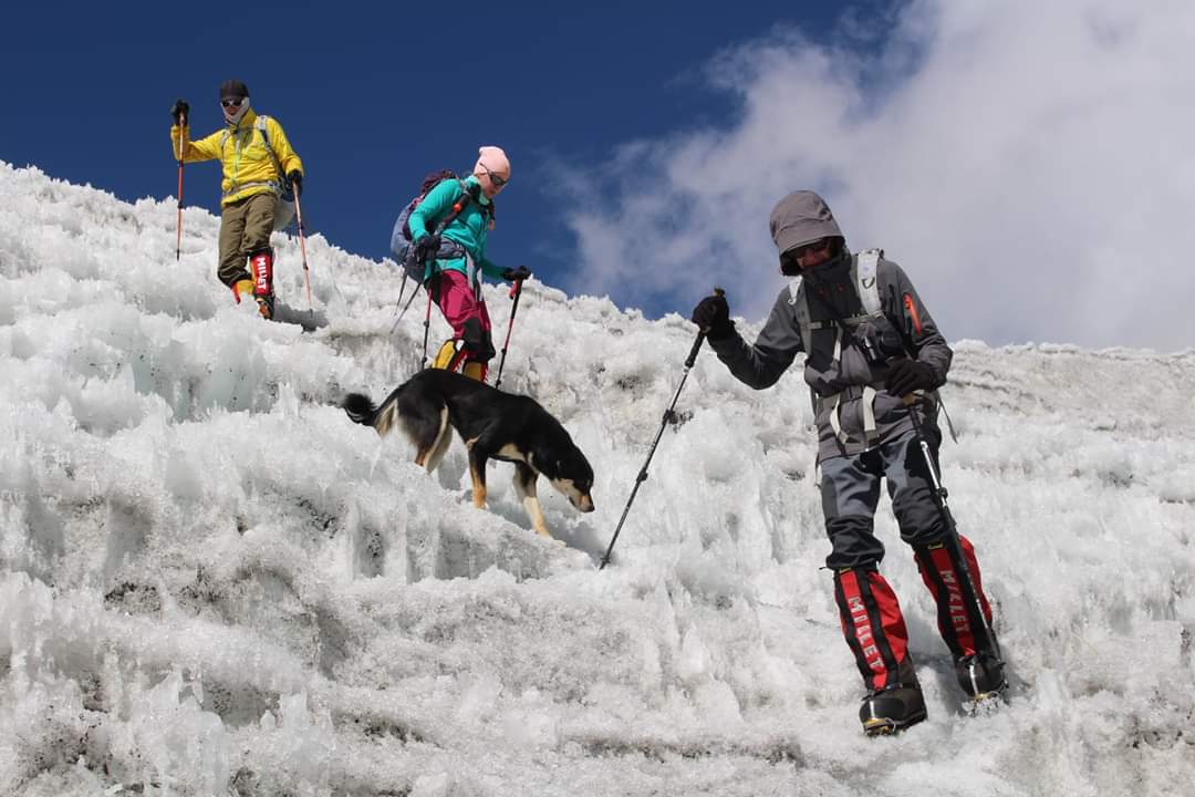 When a Stray Dog Becomes Your Trekking Guide