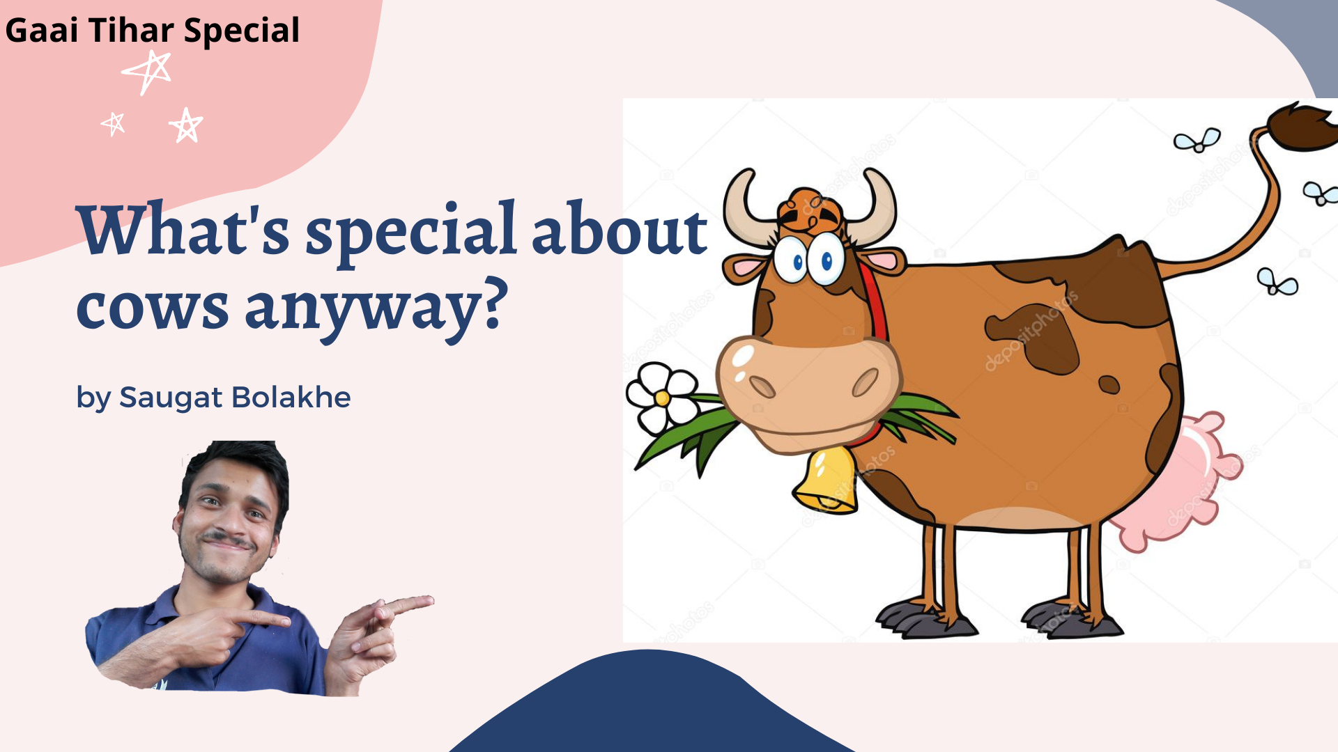 What’s special about Cows anyway?